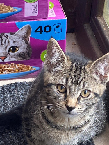 G5Ow9nXWYAA 0wb.jpg