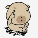 IMG 6727.gif