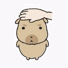 IMG 6726.gif