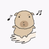 IMG 6728.gif