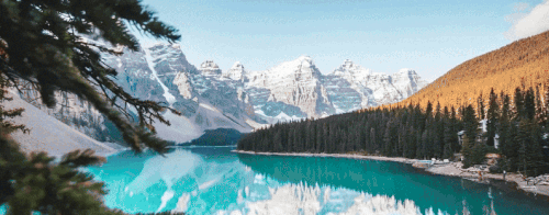 CANADA PLUS.gif