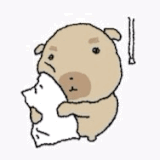 IMG 6717.gif