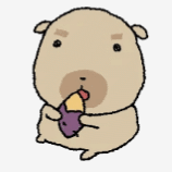 IMG 6724.gif