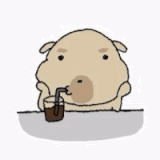 IMG 6712.gif