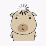 IMG 6719.gif