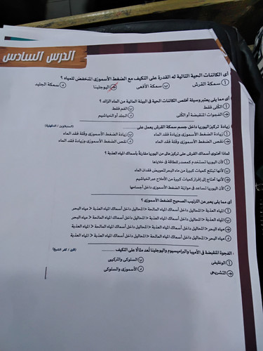 ٢٠٢٥١١٠٤ ١٥٣٣٤٢.jpg