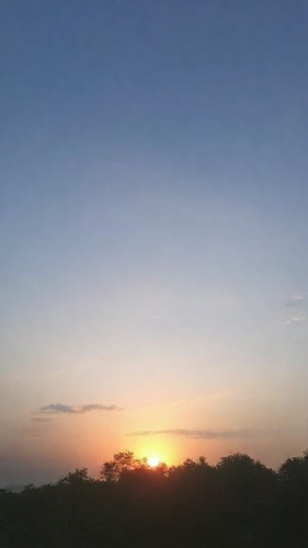 8ff8e47704ac.jpg