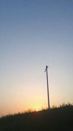 d364824e7d37.jpg