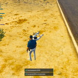 ПМП Дневные (17)