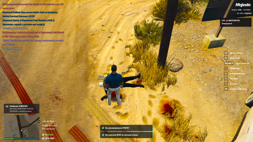 ПМП Дневные (23).png