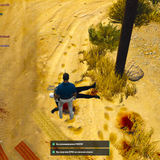 ПМП Дневные (23)