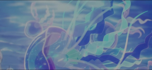 Cantarella Showcase pic 1 Jellyfish.jpg