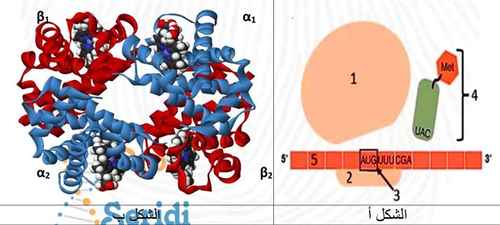 screenshot 1762701516212.png