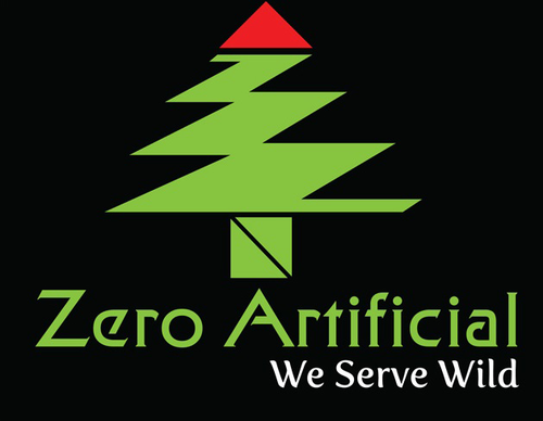 Zero Artificial Logo.png