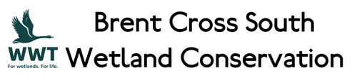 Brent Cross South Wetland Conservational Area.png