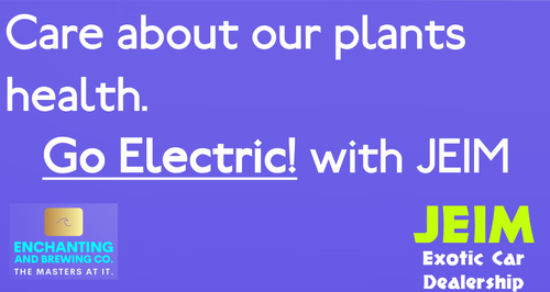 go electric Advert.png