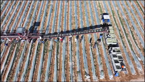 nWUpfjqpz upNcdK.jpg