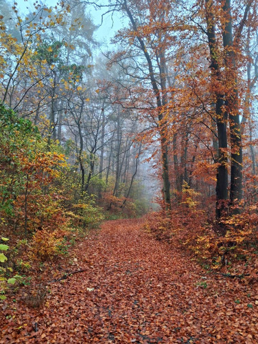 Screenshot 20251109 214322 WhatsApp.jpg