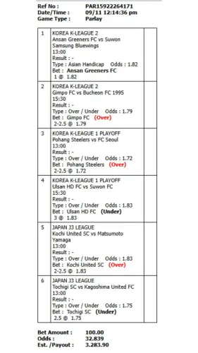 2 (2).webp