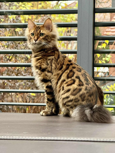 577017817 1398514181837282 3275417431234216812 n.jpg