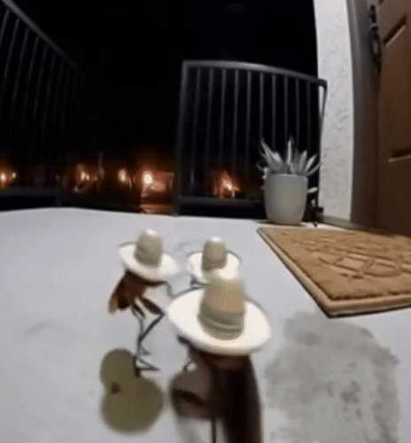 1762609715045.gif