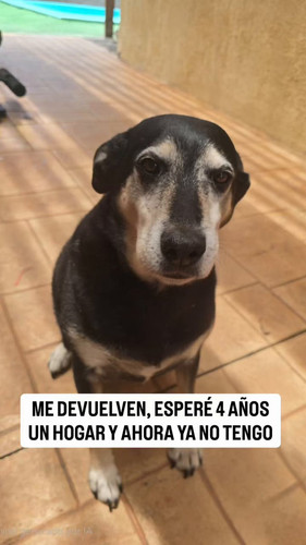 U46g4iUXqjXBtlQC.jpg