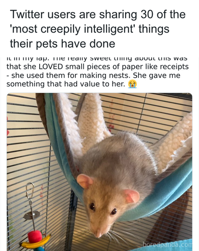 download 2025 11 09T233801.826.png