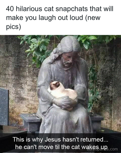 download 2025 11 09T231632.186.png
