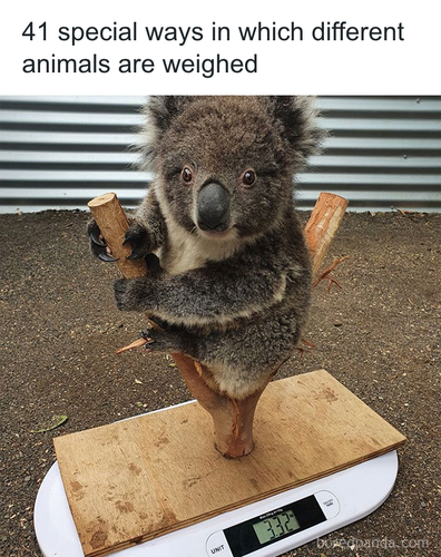 download 2025 11 09T235858.123.png