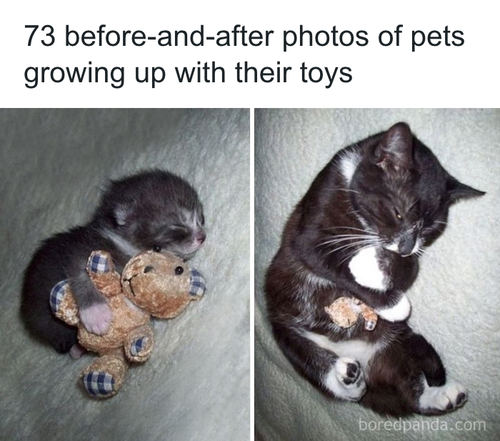 download 2025 11 09T230030.766.png