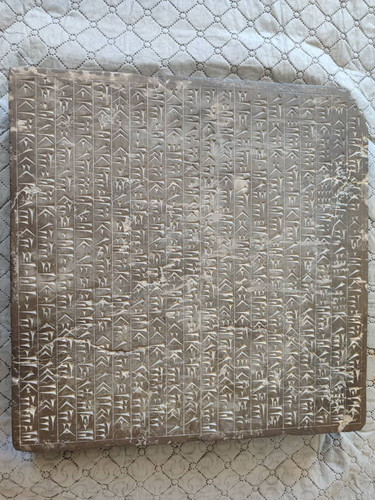 1000548646.jpg