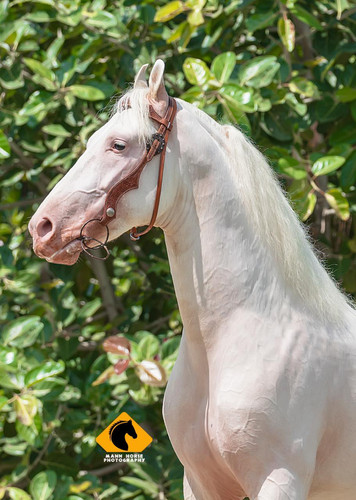 69621161 2433914080178791 8948609415422935040 o.jpg