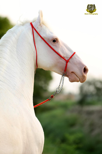 19143945 1936891709881033 5190425027093140067 o.jpg