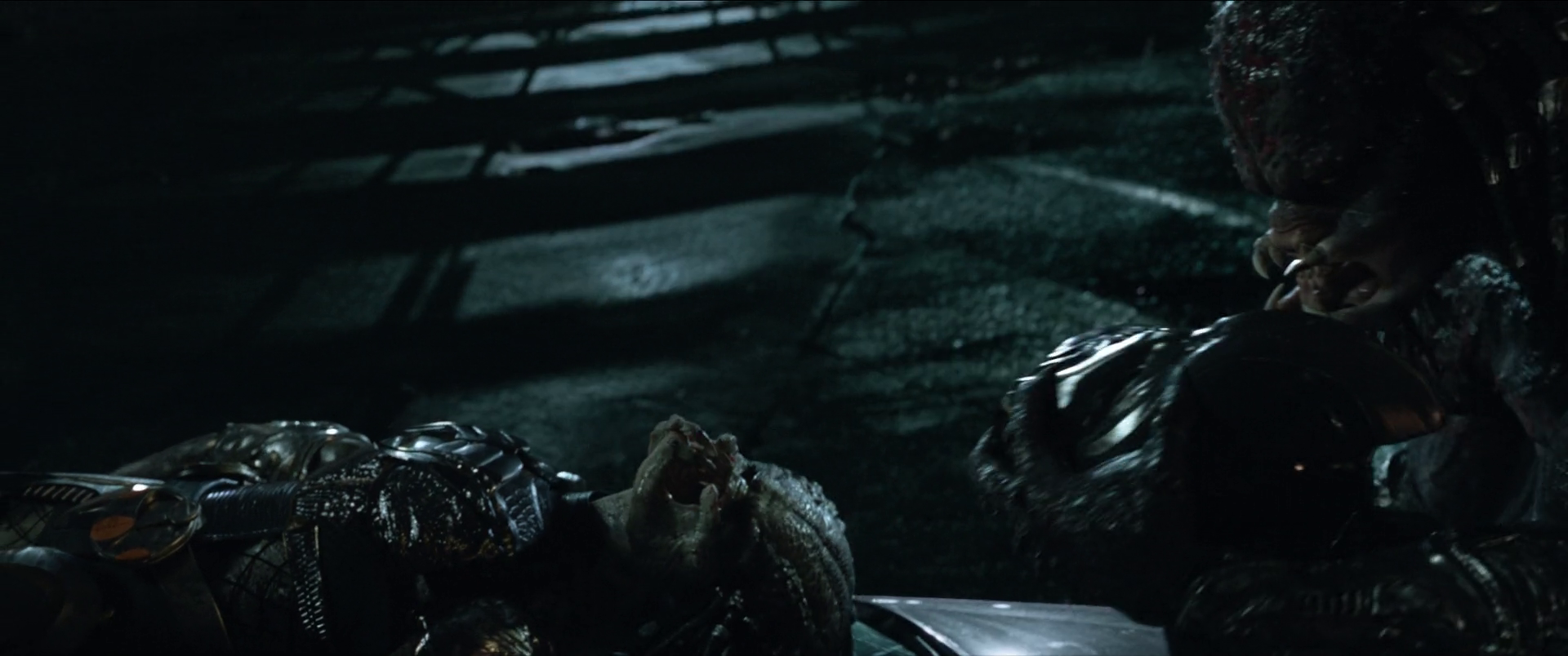 vlcsnap 2025 11 09 19h40m57s786