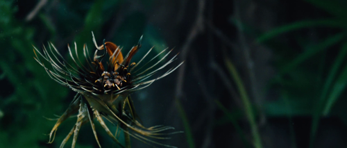 vlcsnap 2025 11 09 19h37m41s956.png