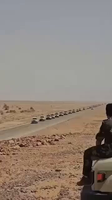 KPTvFYntaT cP1RE.jpg