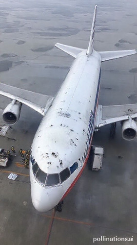 5a010af2e2af.jpg
