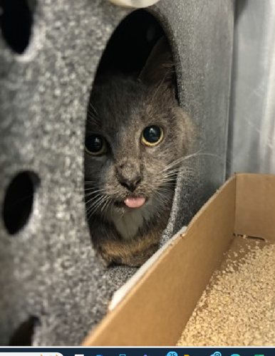 G30aVKYWwAIj6MY.png