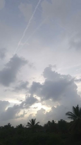 67739756d53b.jpg