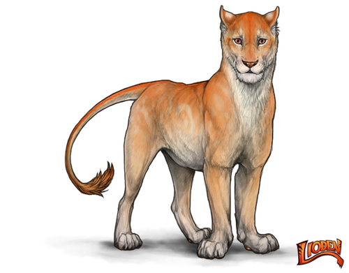 lioden wardrobe (5).png