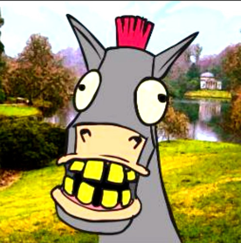 IMG 20251109 123802.jpg