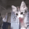 yo 3x.gif