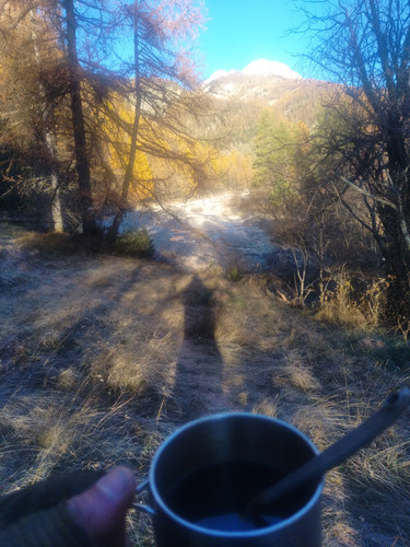 IMG 20251109 083733.jpg