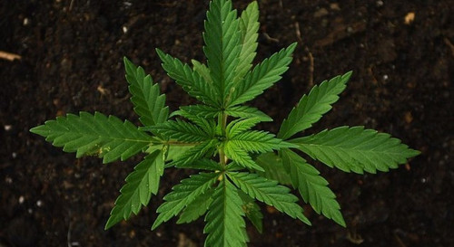 579160003 1287118353448136 7164309218346128087 n.jpg? nc cat=104&ccb=1 7& nc sid=127cfc& nc ohc=eEHs.jpg