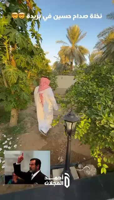 TI74m8I0urSZhh q.jpg