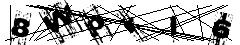 test.jpg