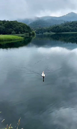 qYx3t abFlotW2Rm.jpg