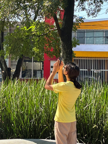 WhatsApp Image 2025 10 25 at 10.30.42 (4).jpg