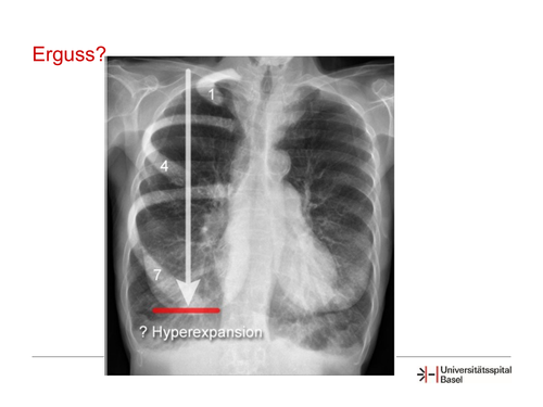 page 13.png