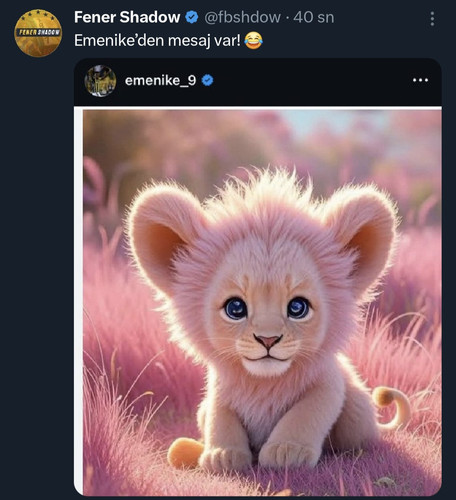 Screenshot 20251109 220605 X.jpg